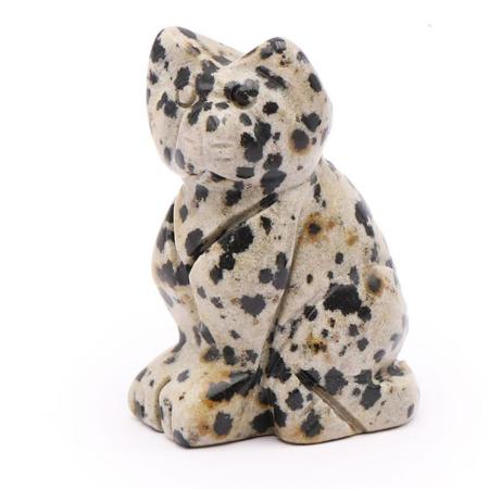 Chat jaspe dalmatien Mexique A 50mm