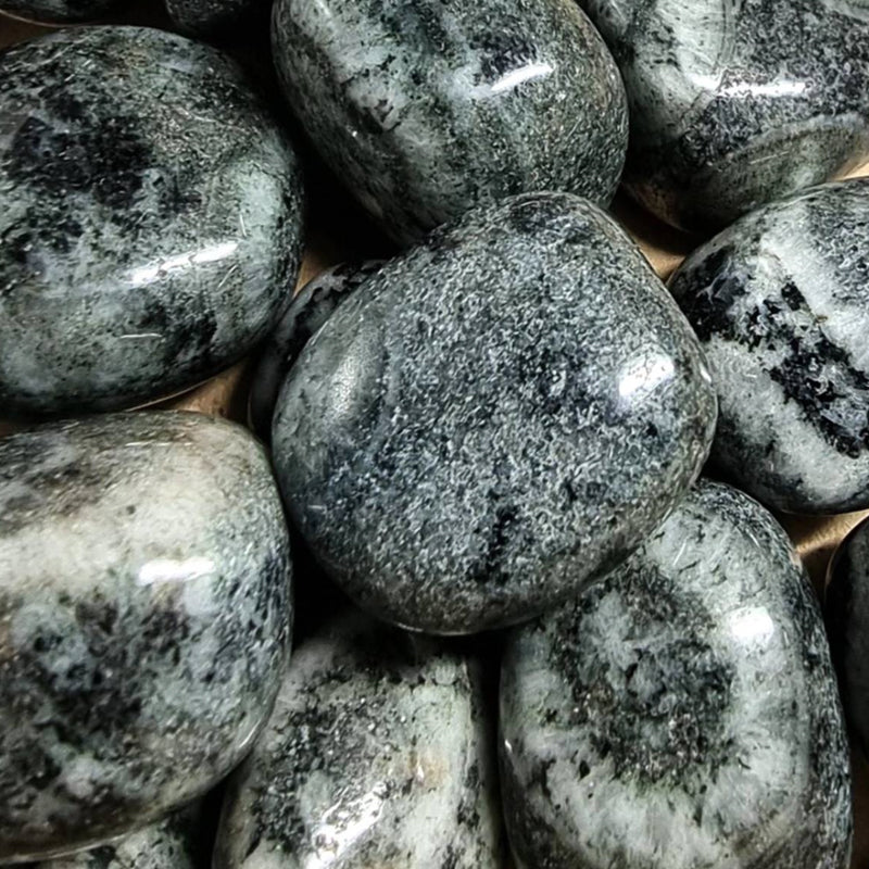 Orbicular diorite pebble (Corsica - Saint Lucia of Tallano) A