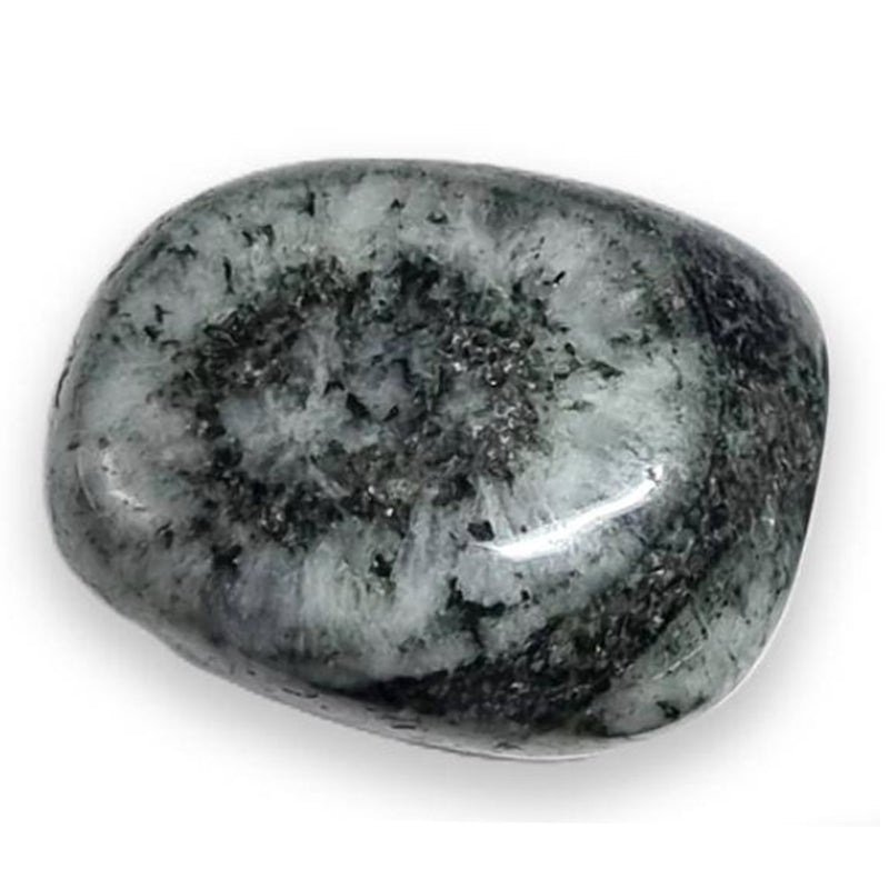 Orbicular diorite pebble (Corsica - Saint Lucia of Tallano) A