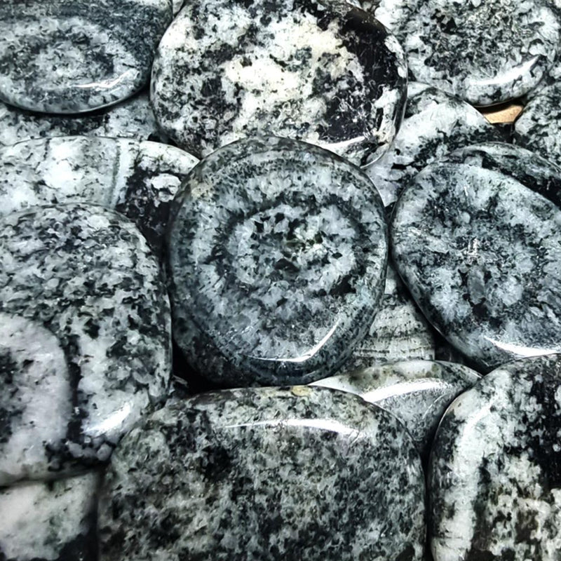 Orbicular diorite pebble (Corsica - Saint Lucia of Tallano) A