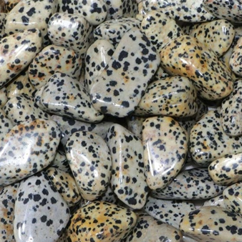 Dalmatian Jasper Mexico A (tumbled stone)