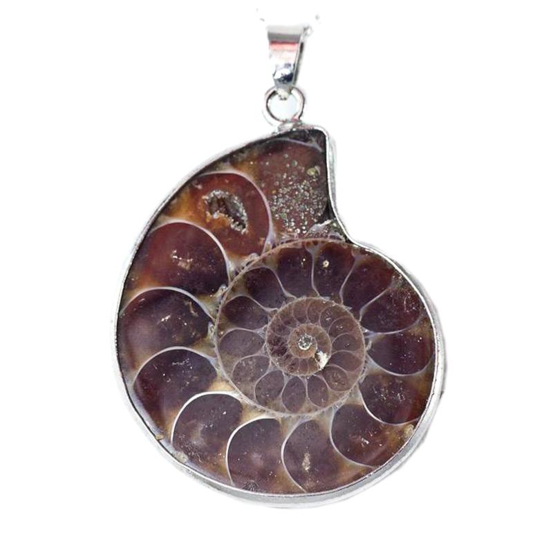 Pendentif ammonite Madagascar A acier inoxydable