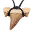 Pendentif dent de requin + cordon