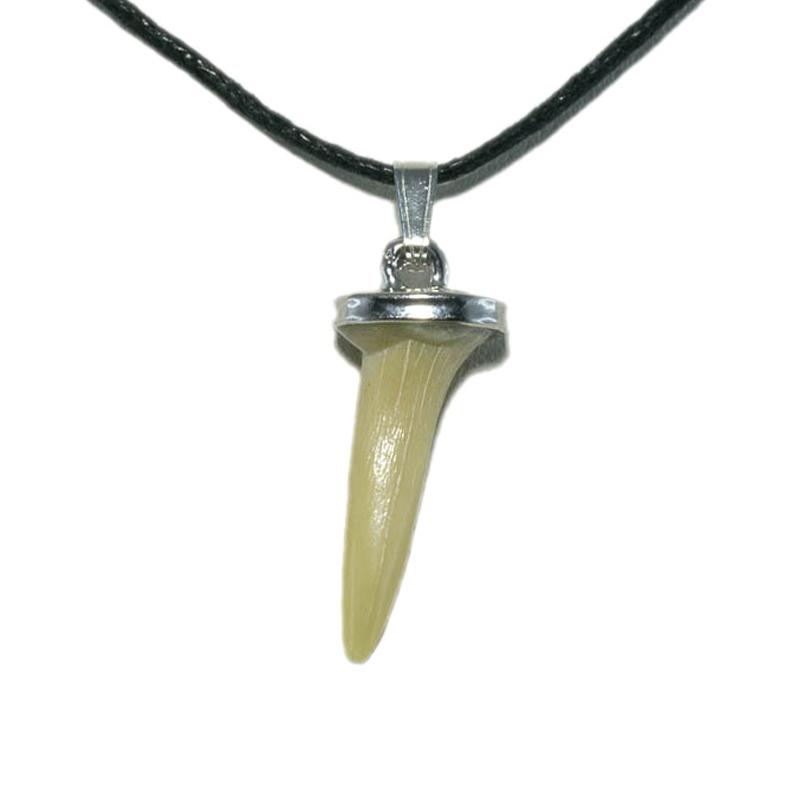 Pendentif dent de requin fossilisée + cordon