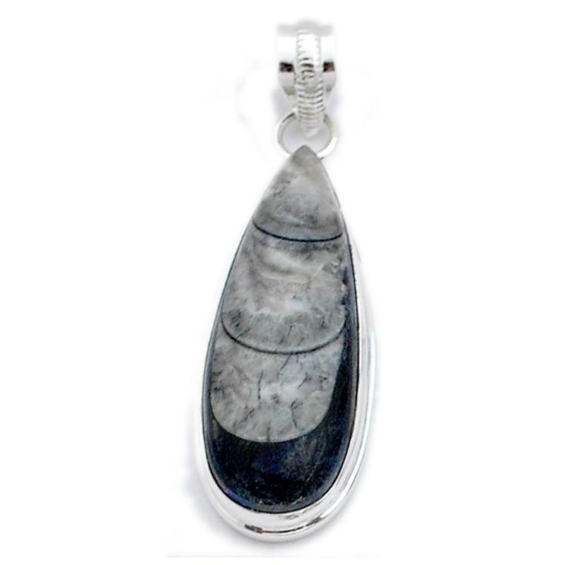 Pendentif orthocère Maroc AAA argent 925