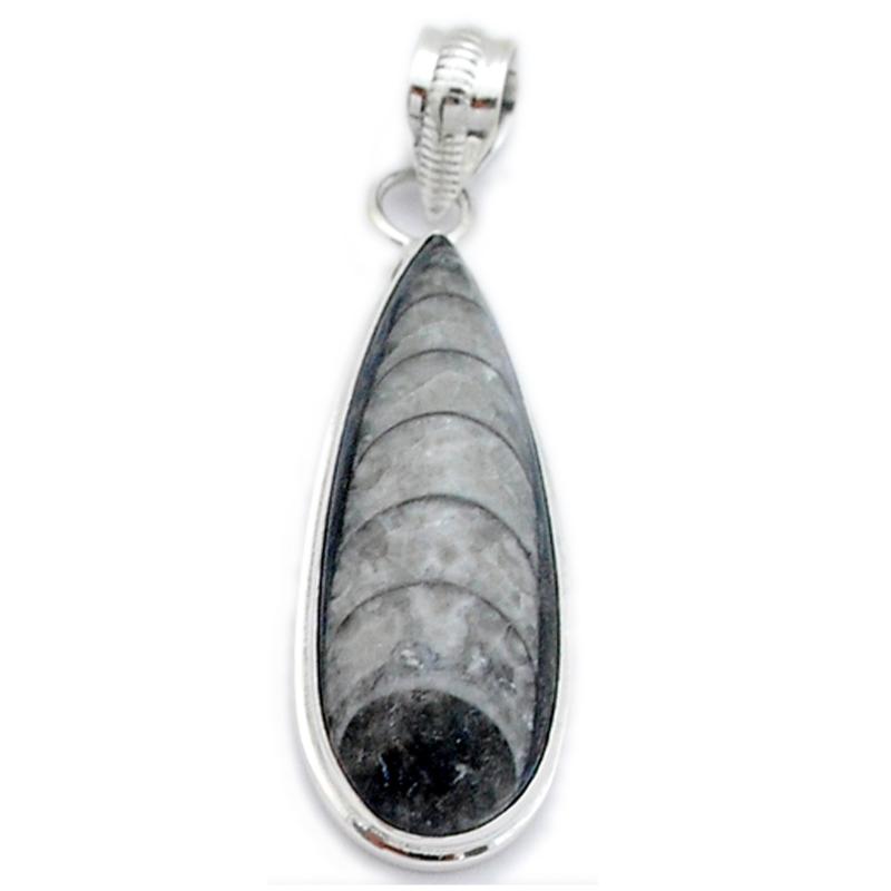 Pendentif orthocère Maroc AAA argent 925