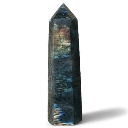 Prisme labradorite Madagascar AA - 70-80mm