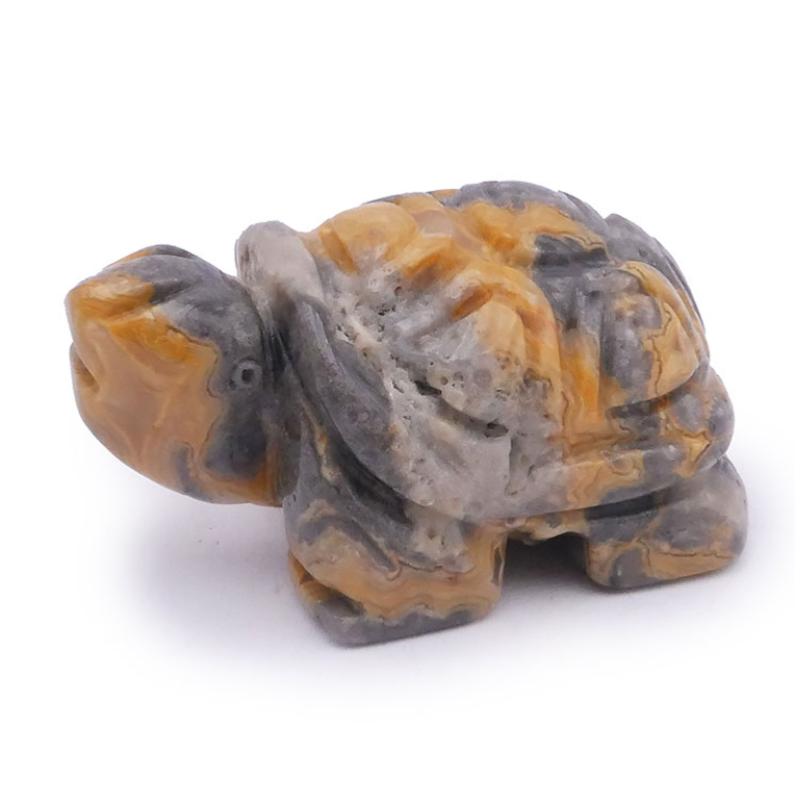 Tortue agate crazy lace Mexique A  50mm