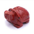 Tortue jaspe rouge Afrique du Sud A 50mm