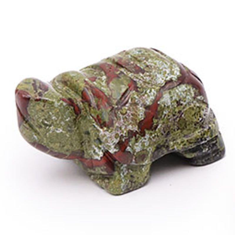 Dragon blood jasper turtle South Africa A 50mm